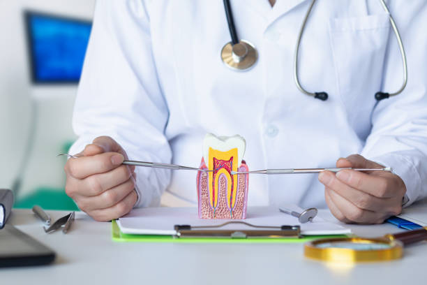 Best Emergency Dental Services for Seniors in Dublin, PA